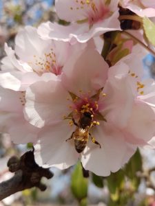 כך הכל מתחיל